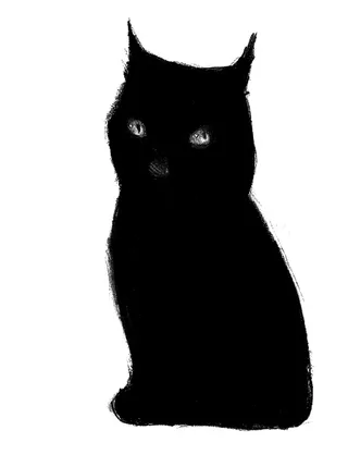 Черная кошка