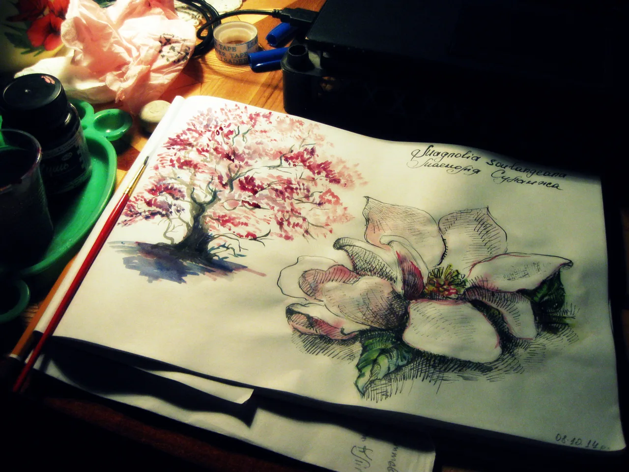 Disegno