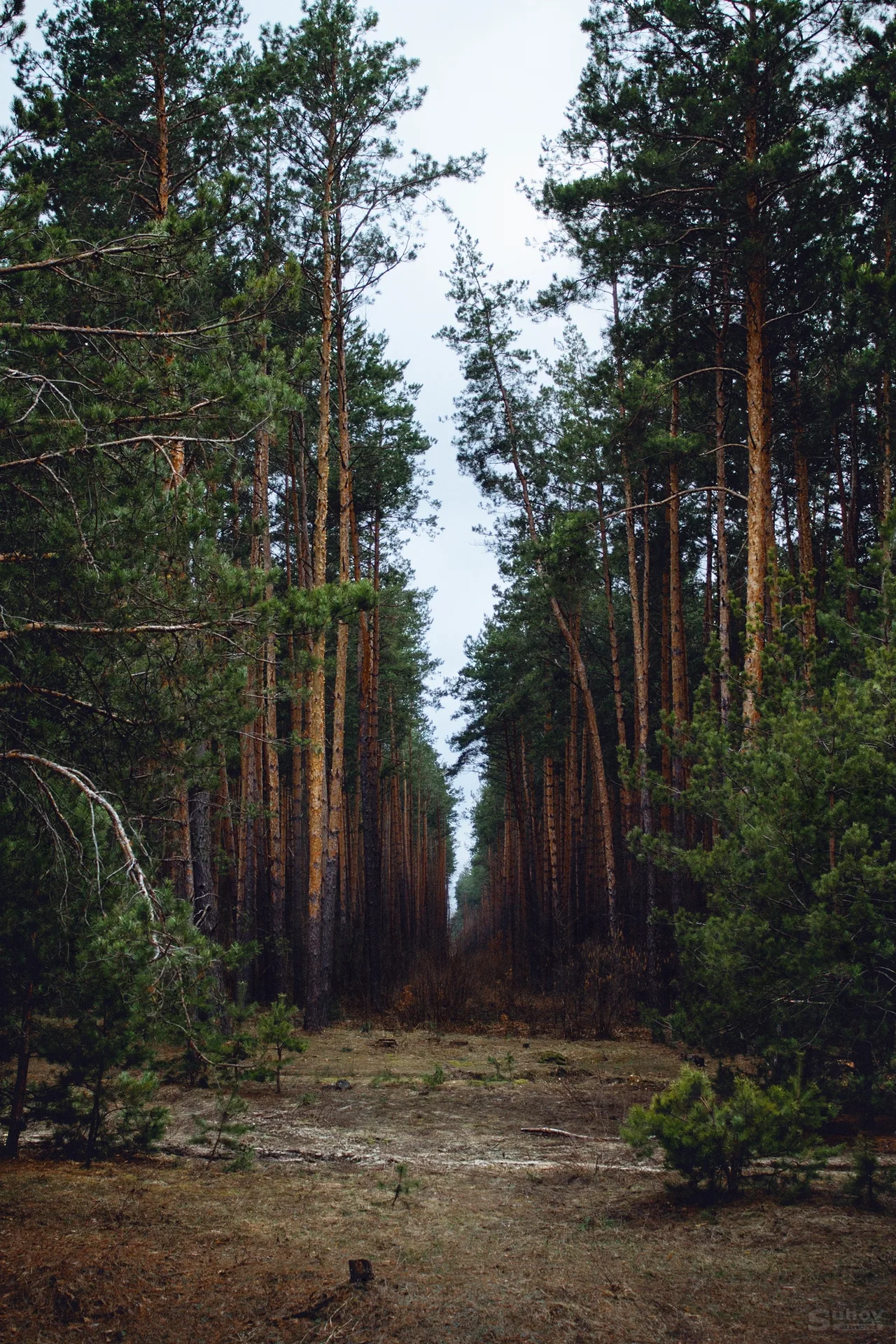 "Місця, яким належу"