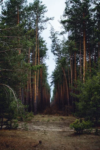 "Місця, яким належу"