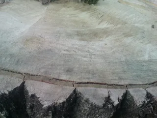 Деревина