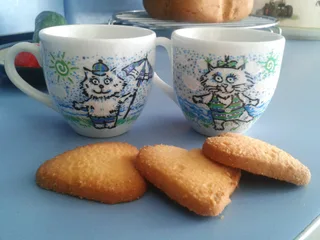 літні кицьки :)