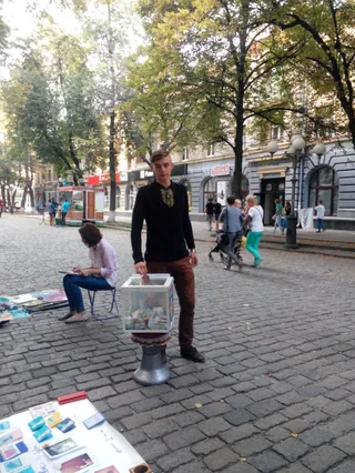 Foto öffnen