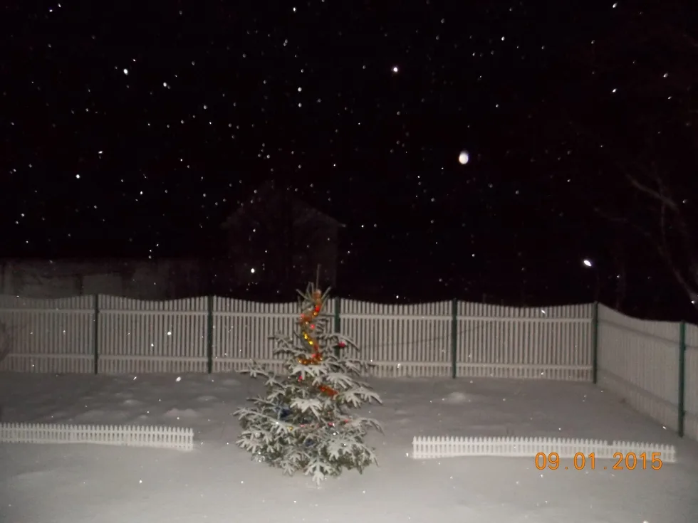 Photo 4 of 4
