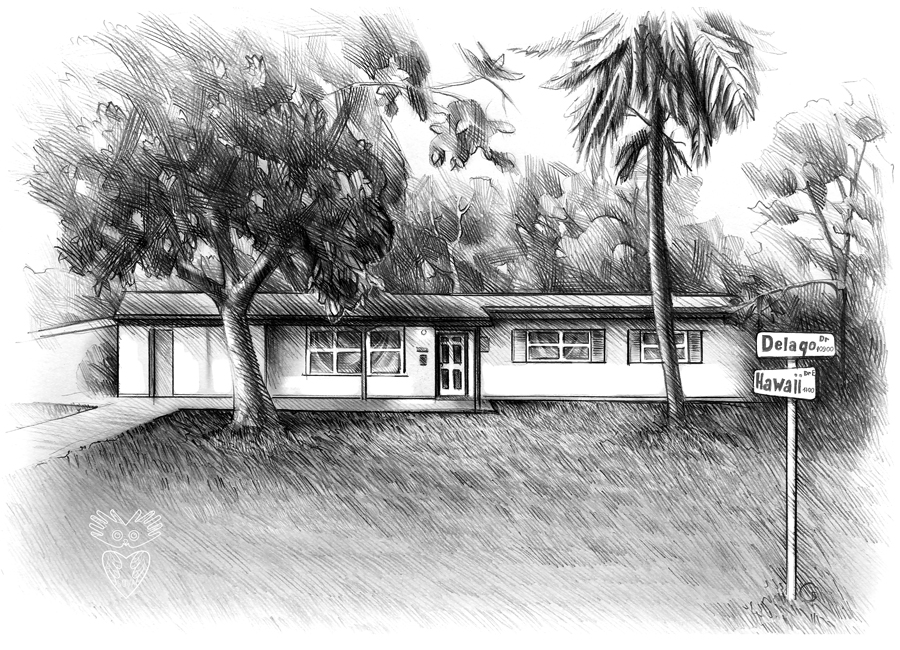 Disegno
