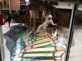 Feeding crocodiles