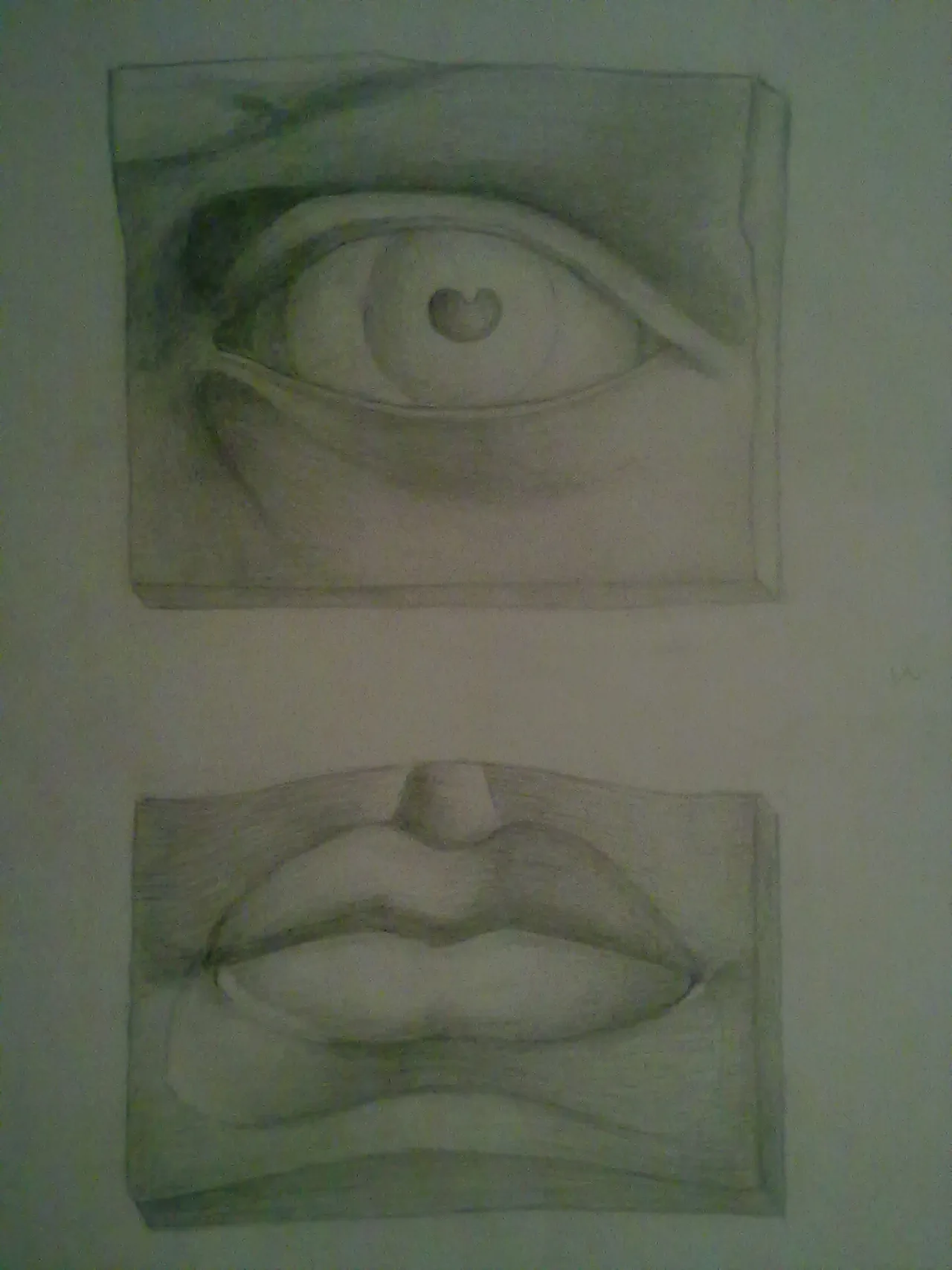 Disegno