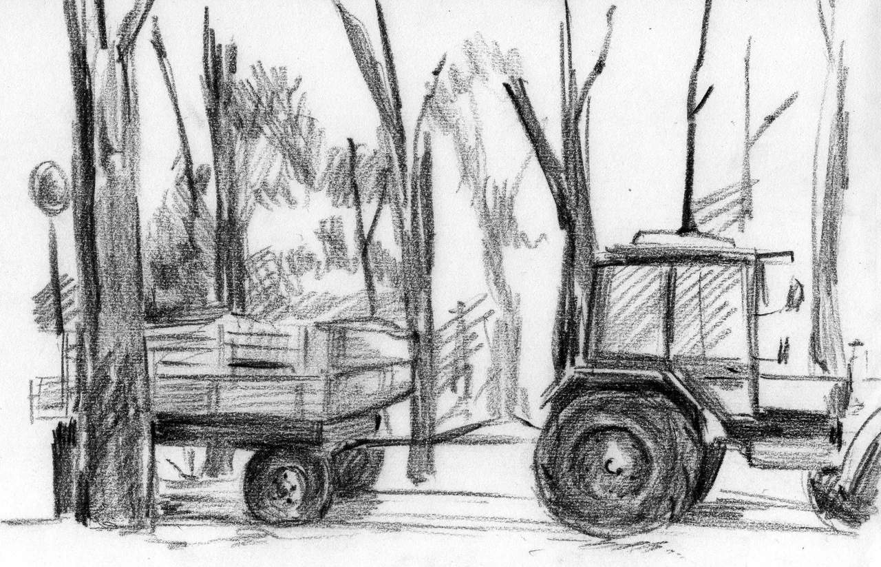Disegno