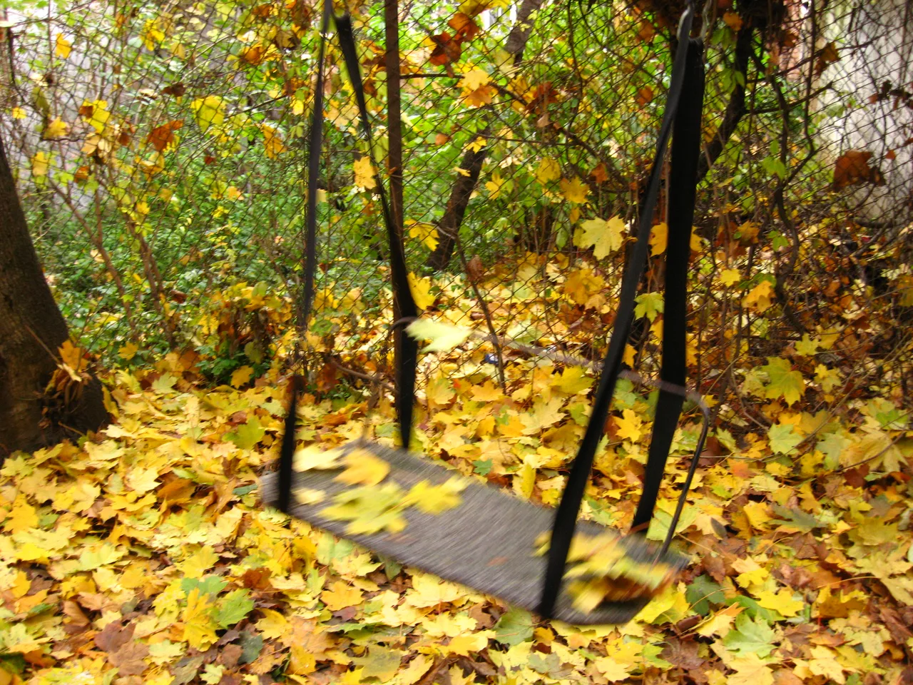 Осеннее настроение