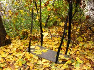 Осеннее настроение