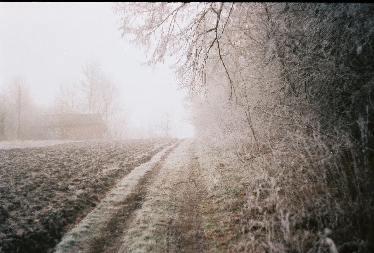 Дорога в туман_