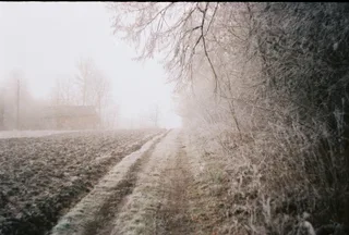 Дорога в туман_