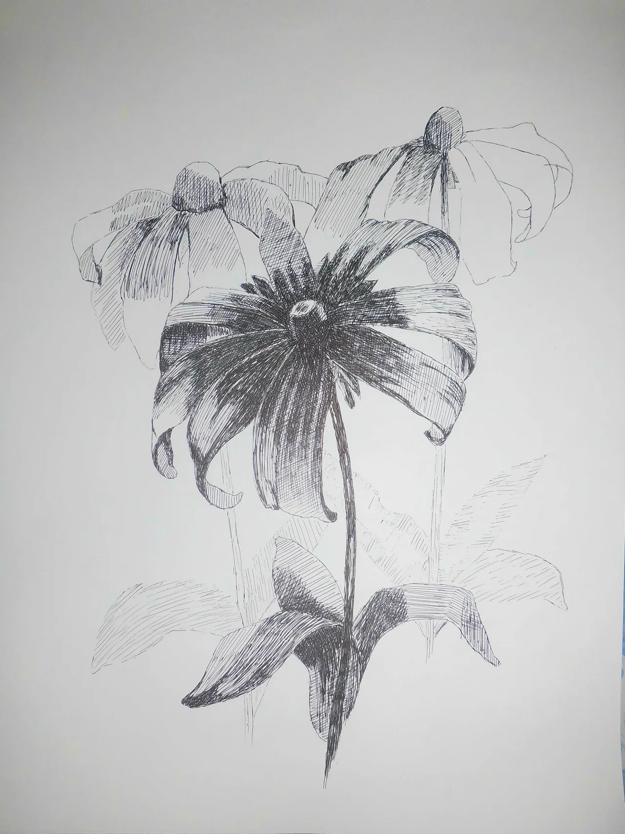 Dibujo