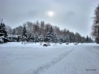 зимушка