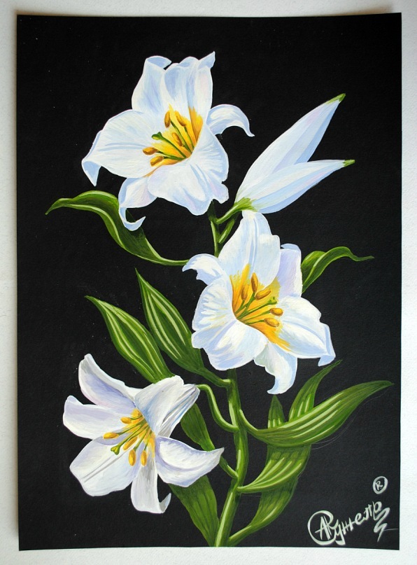 Лілії. Гуаш. 2011 р.