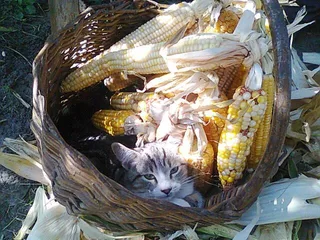 Затишне місце :)