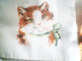 Котик мурчик