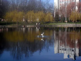 Дзеркальна весна