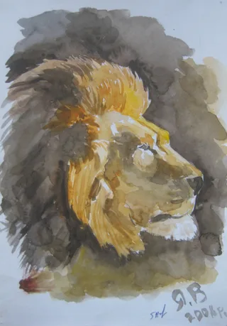 Disegno