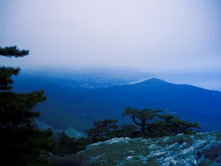 Ялта в тумане