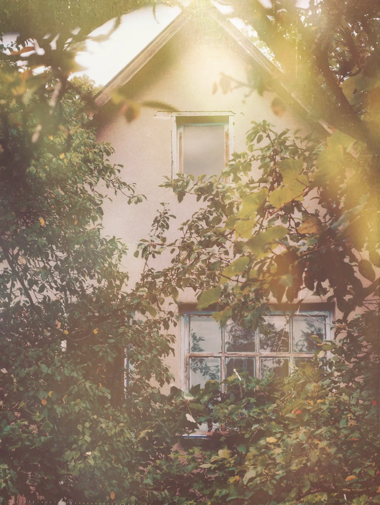 Теплий спогад