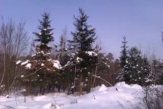 Зима 2012