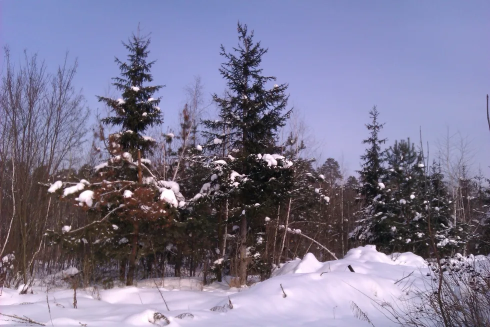 Зима 2012