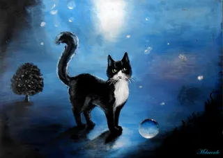 КотЕ