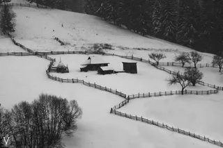 Карпатські лінії