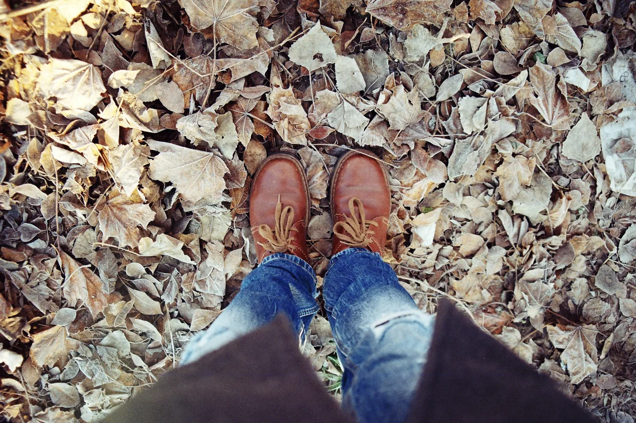 winter