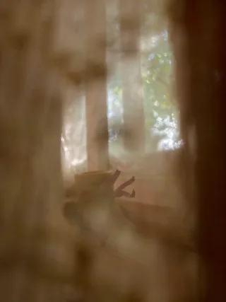 Пастельний натюрморт