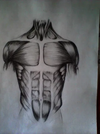 Disegno