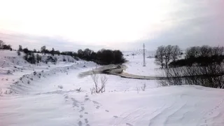 Річко, ти п'яна! Іди додому!
