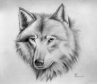 Drawing