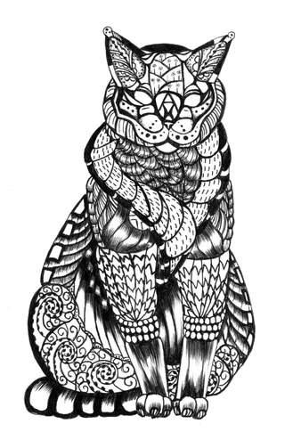 Кот