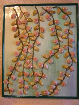 Плакучая ива зацвела