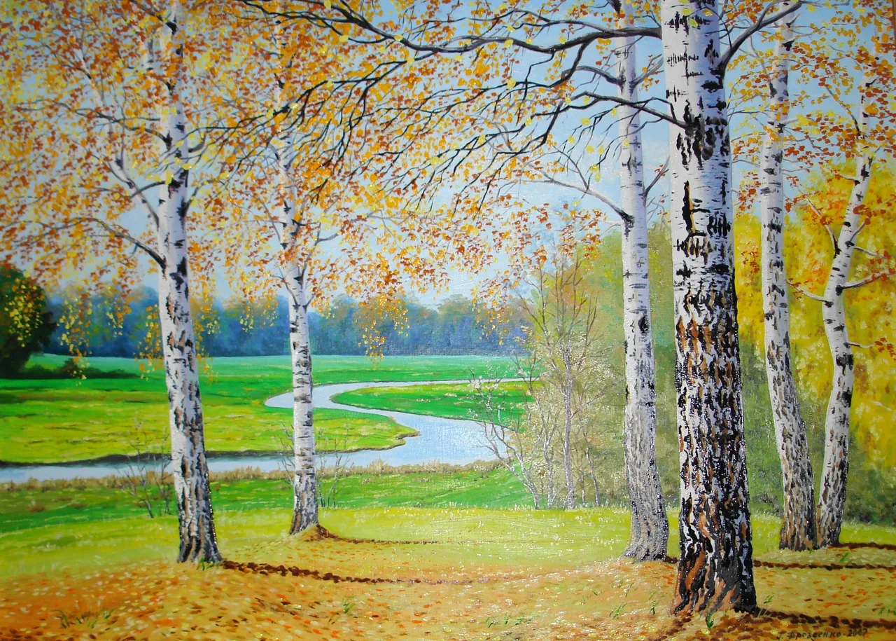 Disegno