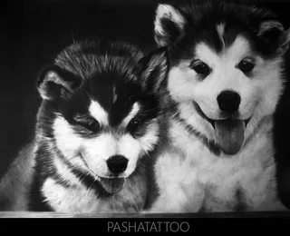 Puppies