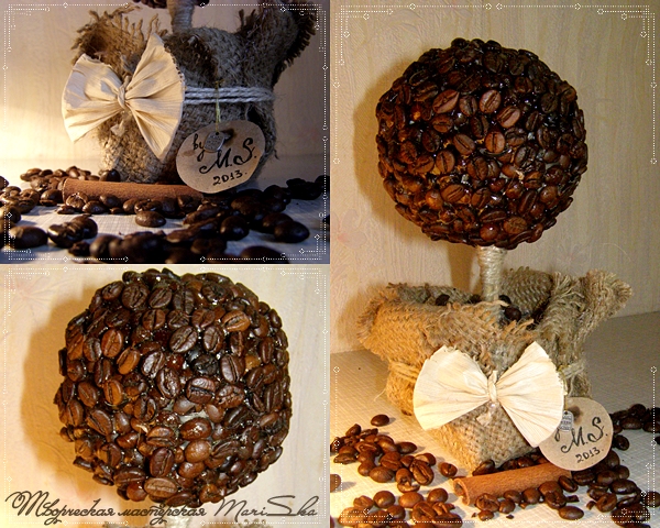 Coffee Tree Middle