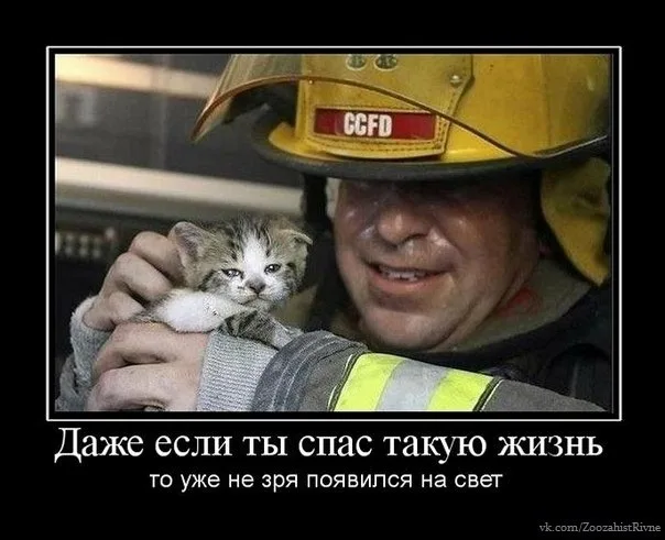 Zdjęcie 10 z 29