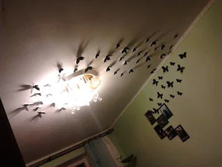 Метелики )