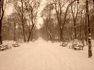 Парк Івана Франка
