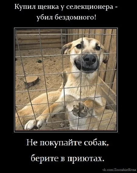 Фото 11 з 29