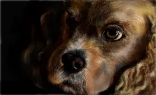 Computer graphics
