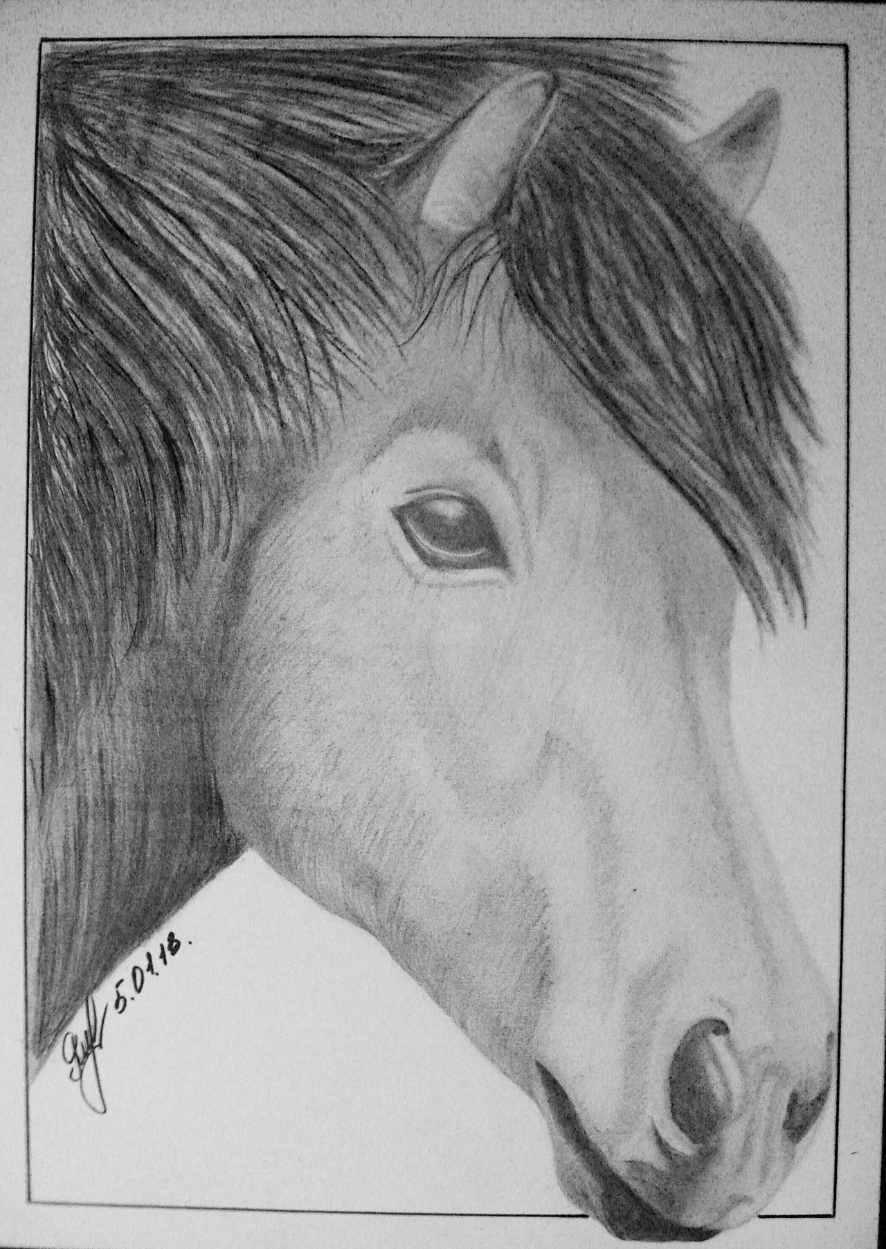Drawing