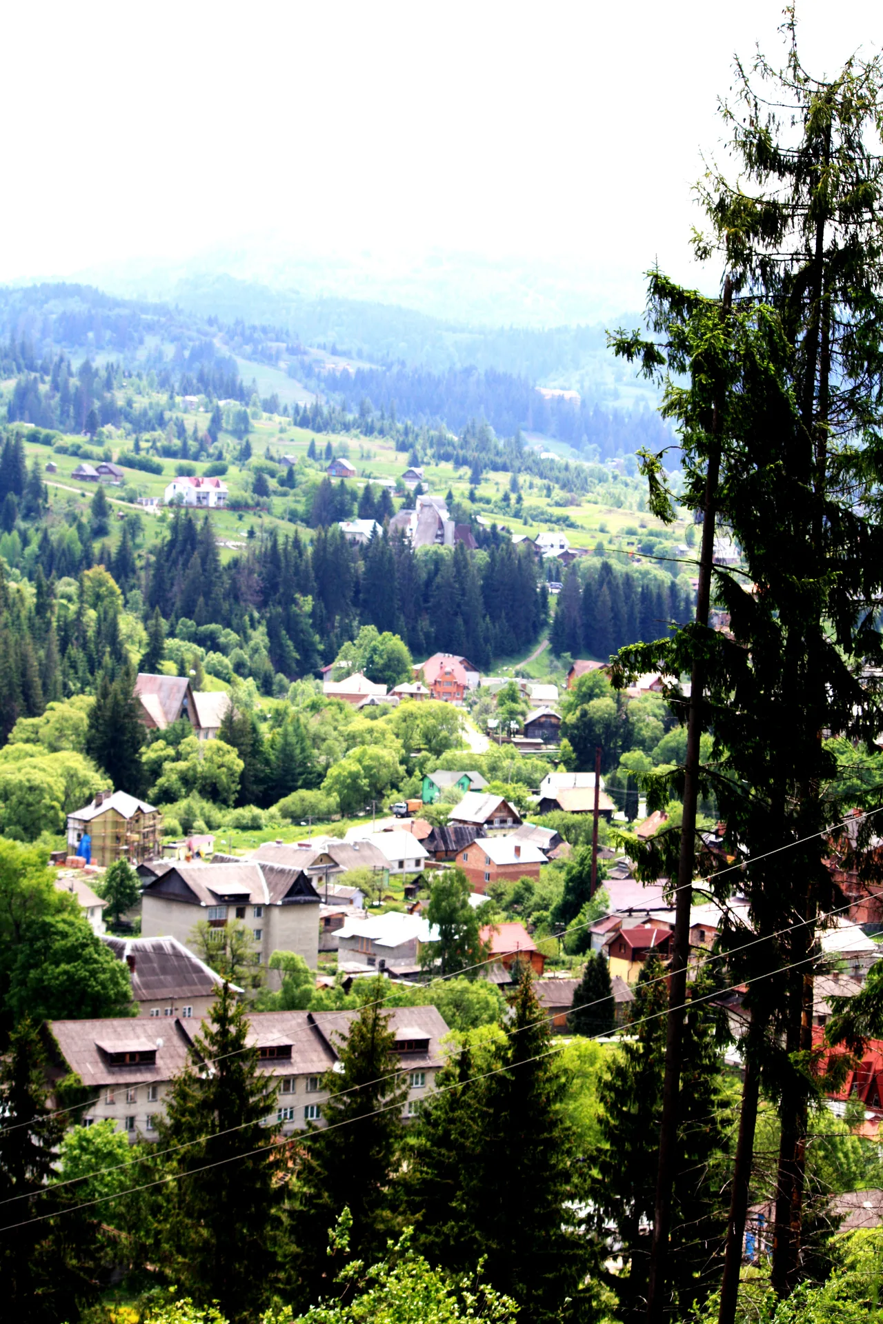 теплі карпати