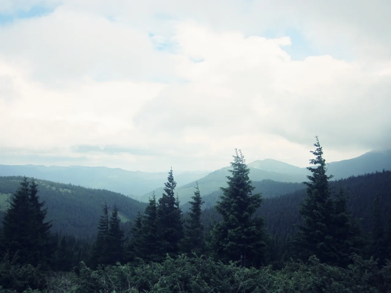 Карпати