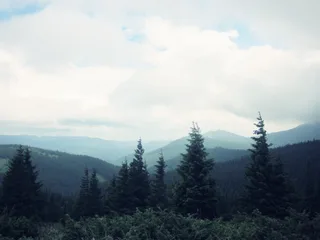 Карпати
