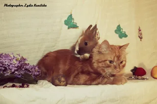 ммм...тепло)