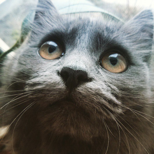 Погляд